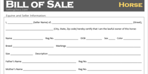 Horse Bill of Sale